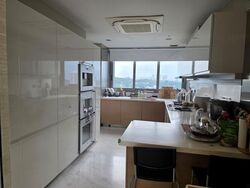 One Robin (D10), Apartment #585073771